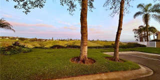 24335 Park Place Drive Gallery 65