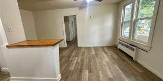 390 Orange Gallery 1