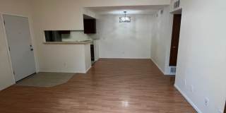 3 Bed 2 Bath Updated Unit in Robinwood Gallery 4