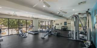 Waterford Park Gallery 54