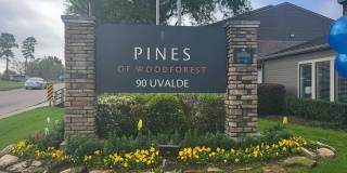 Pines of Woodforest Gallery 17