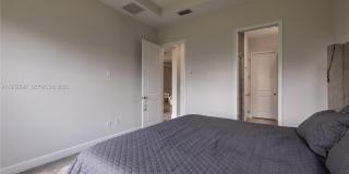 13939 Prickly Cone Cv Gallery 16