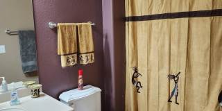 20002 N 269TH Drive Gallery 16