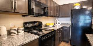 Esperanza Gallery 36