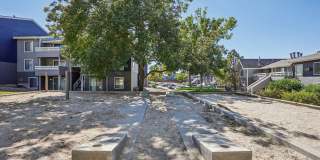 Windmill Apartments Gallery 39