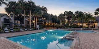 Sabal Palm at Lake Buena Vista Gallery 29