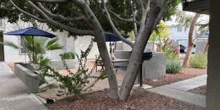 4111 E Camelback Road unit: 17 Gallery 3