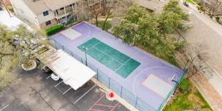 Juniper Springs Gallery 9