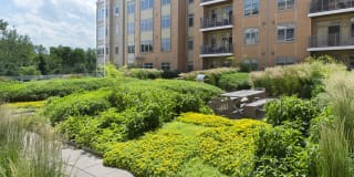 Currents on the Charles Gallery 31