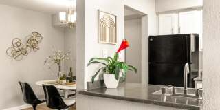 Tesoro on Spain Gallery 11