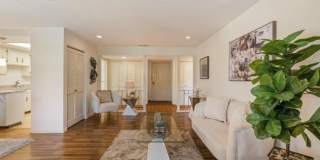 775 Chestnut St Gallery 4