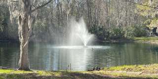 Beautiful 3-Bedroom, 2-Bath Villa in Prime Gainesville Location (Mill Pond) Gallery 6
