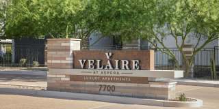 Velaire at Aspera Gallery 11