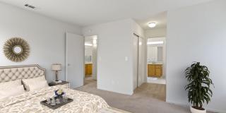 Lakeshore Apartments Gallery 1