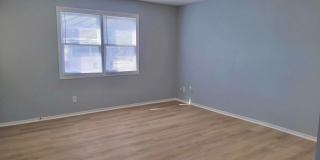 Pine Tree Flats Gallery 23