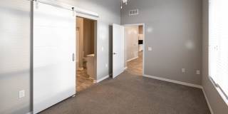 Velocity Gallery 20