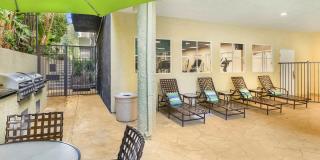 Versailles Gallery 22