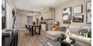 The DeMilo Gallery 7