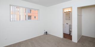 Aztec Pacific Gallery 38