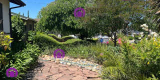 2331 Saint George Drive Gallery 3