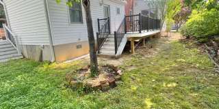 ARLINGTON - CLOSE TO PENTAGON - NEIGHBORHOOD AMENITIES Gallery 11