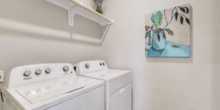 Springs at Georgetown Gallery 29