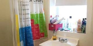 Great 3.5 Bed in Brighton - Green Line Gallery 8