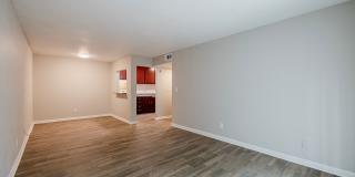 Northlake Gallery 21