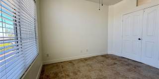 10677 Windrose Point Avenue Gallery 16