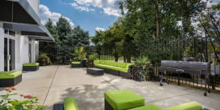 The Ivy Club Gallery 11