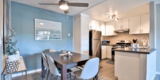 The Harlow Gallery 11