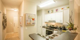 Merritt at Sugarloaf Gallery 24