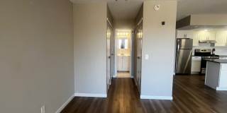 171 WELLINGTON Gallery 5