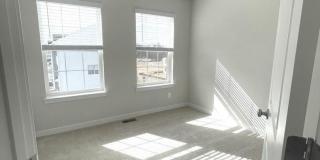 280 SOFT RUSH Lane Gallery 17
