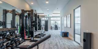 Alta Citron Gallery 27