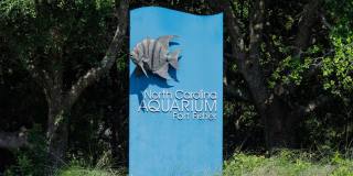 (K139) 2110 Surf Rider Court, Unit A, Kure Beach, NC 28449 Gallery 52
