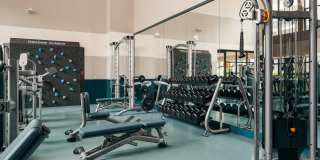 The Copeland The Copeland Gallery 24