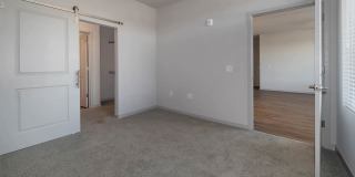 Savanna Nine Mile Gallery 56