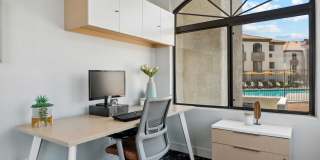 Twin Palms Gallery 21