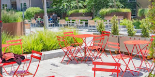 The Apartment Collection at Bay Meadows Gallery 68