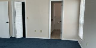 Lakeview Condo Available | Directly Across from Lake Hollingsworth Gallery 11