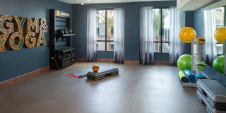 Persea Gallery 13