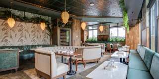 Maison Green Gallery 42