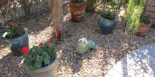 12467 W ALYSSA Lane Gallery 28