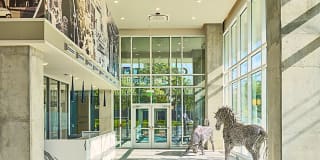 Generation Gallery 12