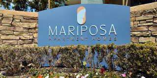 Mariposa Gallery 1
