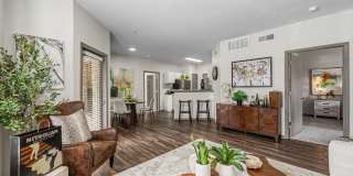 The Park on Forum Gallery 11