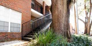 Ansley Terrace Gallery 4