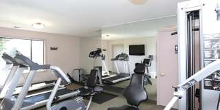 Sugar Hill Apartments Gallery 12