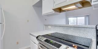 k670 - Buena Vista #306 Gallery 17